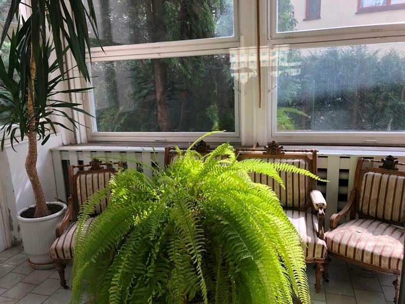 Rooms In Prague-Big+Comfy Εξωτερικό φωτογραφία